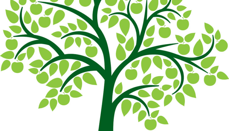 القبيله و النسب